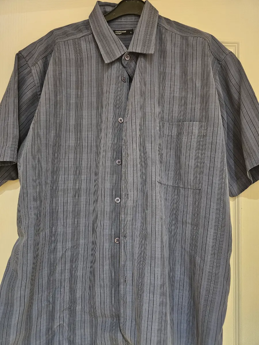 Cedarwood State Men’s Short‑Sleeve Shirt – Size L – Blue Stripe