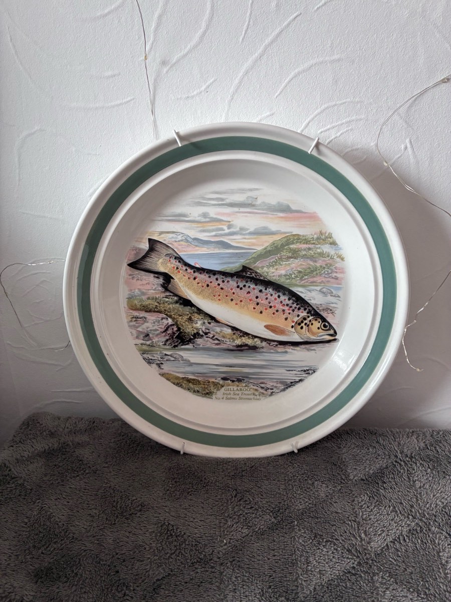 Vintage Portmeirion The Compleat Angler Gillaroo Trout 10.5" Dinner Plate
