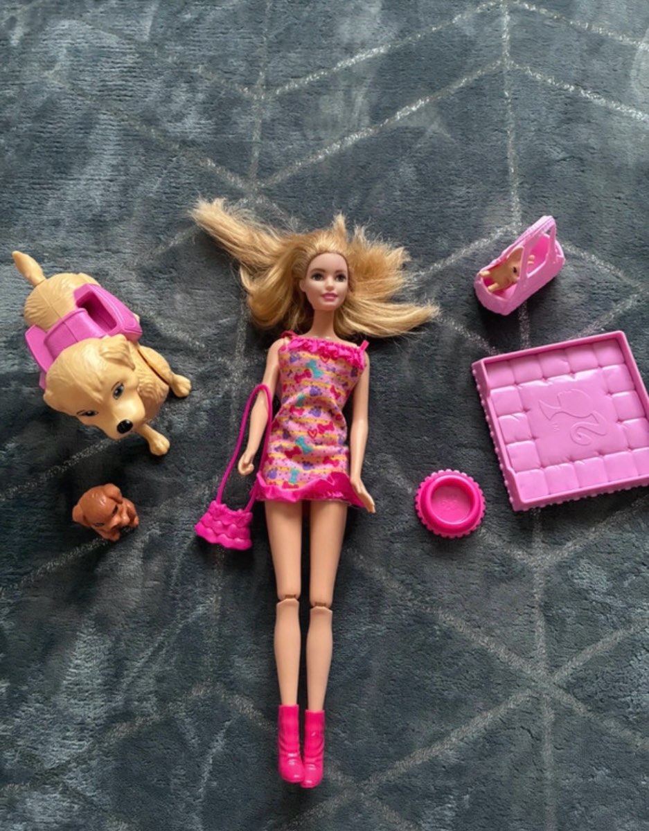 Barbie And Pet Bundle With Accessories