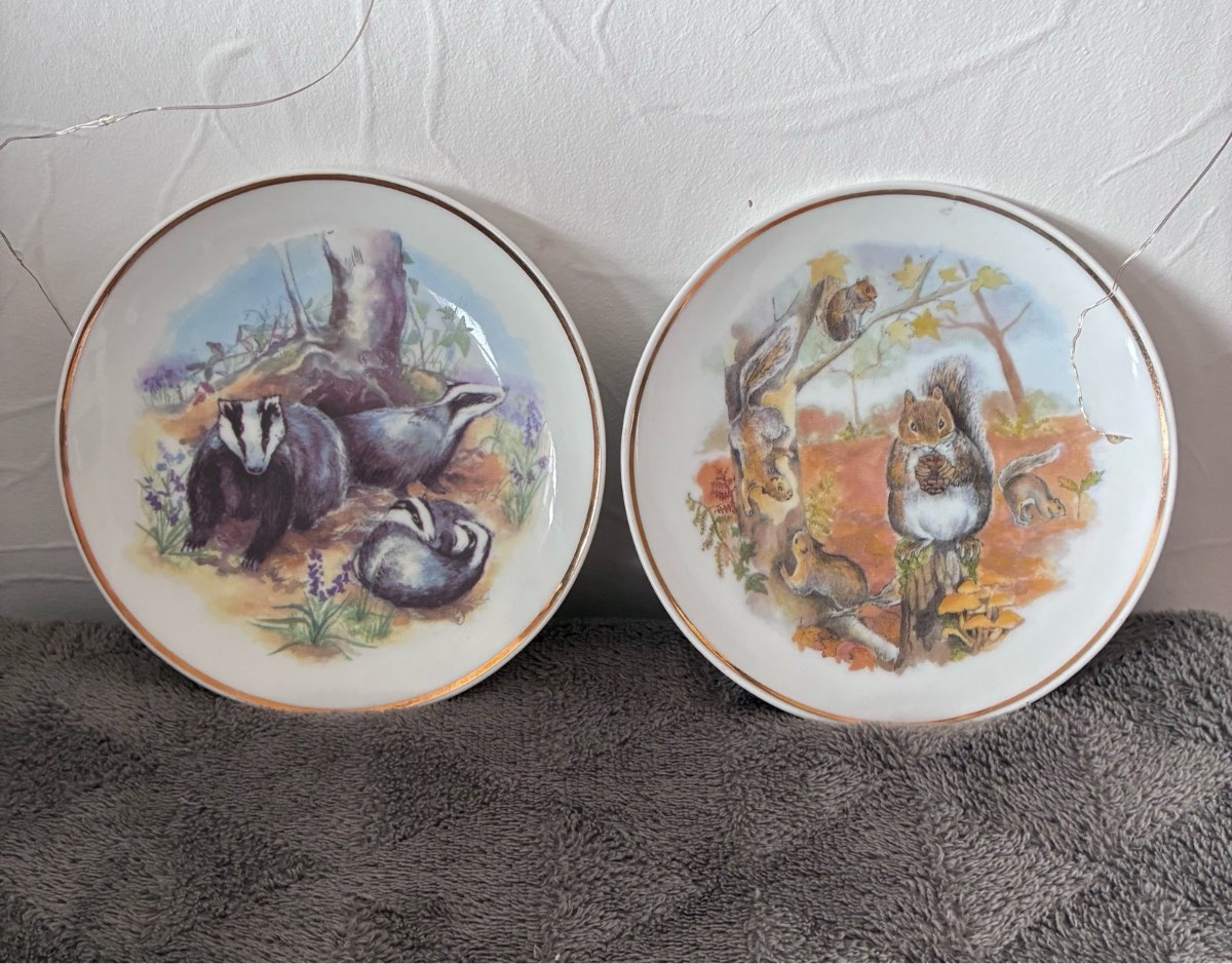 Vintage Readers Digest Wildlife of Britain Plates Badgers & Squirrels Set