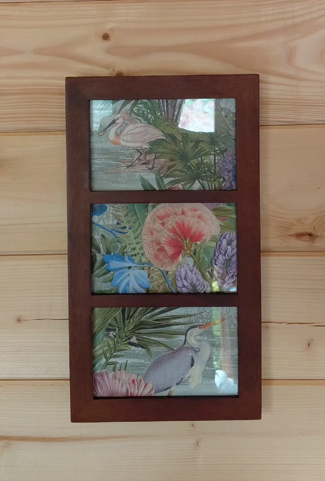 Trio wooden frame currently with botanical bird artwork