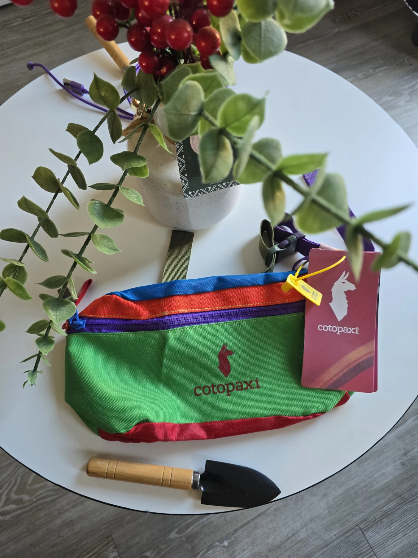 Cotopaxi bum bag