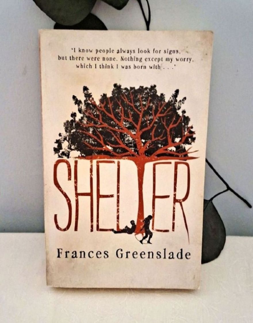 Perfect Holiday Read "Shelter" a Story of Mothers, Daughters & Sisterhood Family Drama