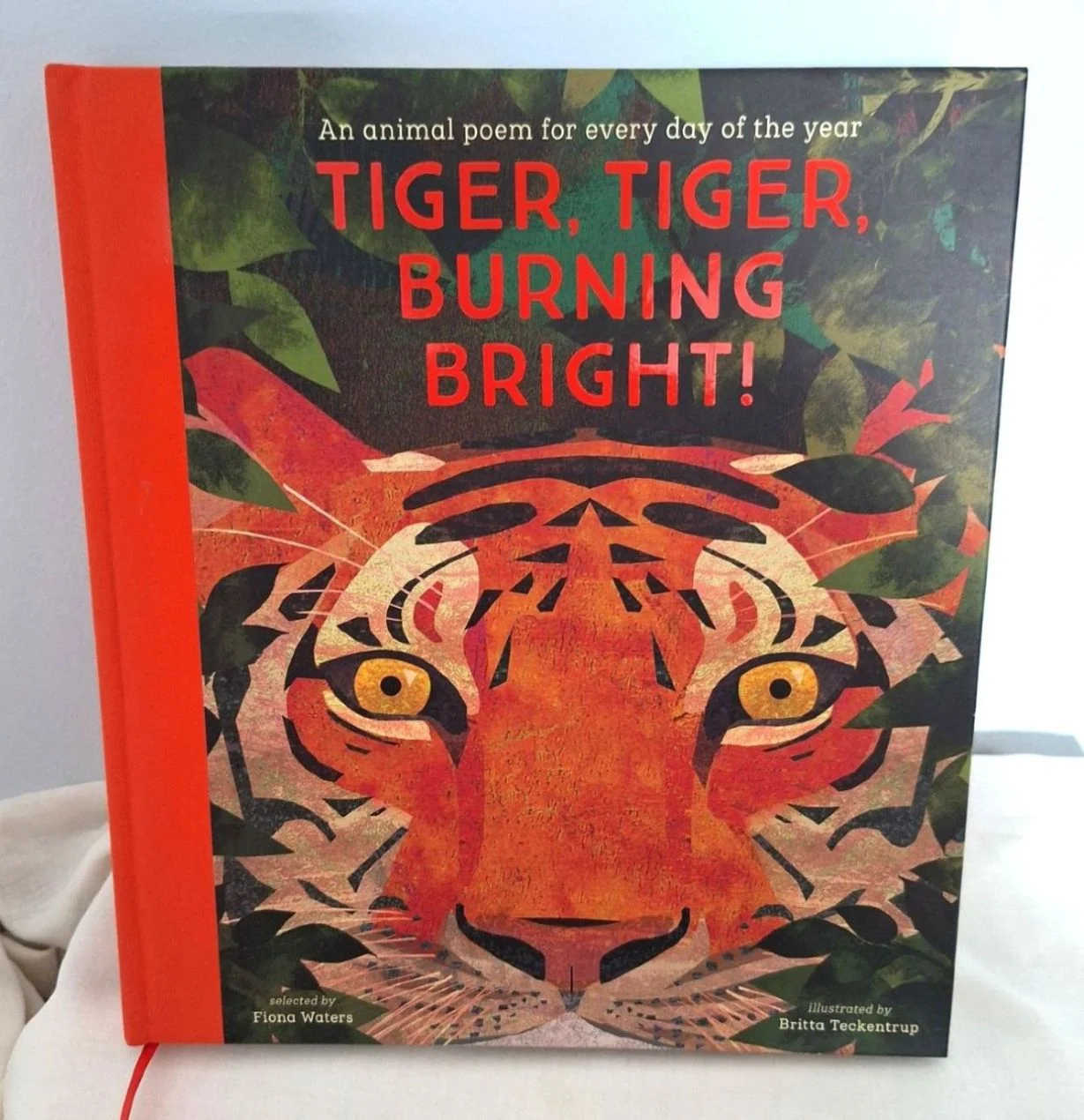 NEW Book Tiger, Tiger, Burning Bright Children’s Book – 365 Animal Poems + Gorgeous Artwork