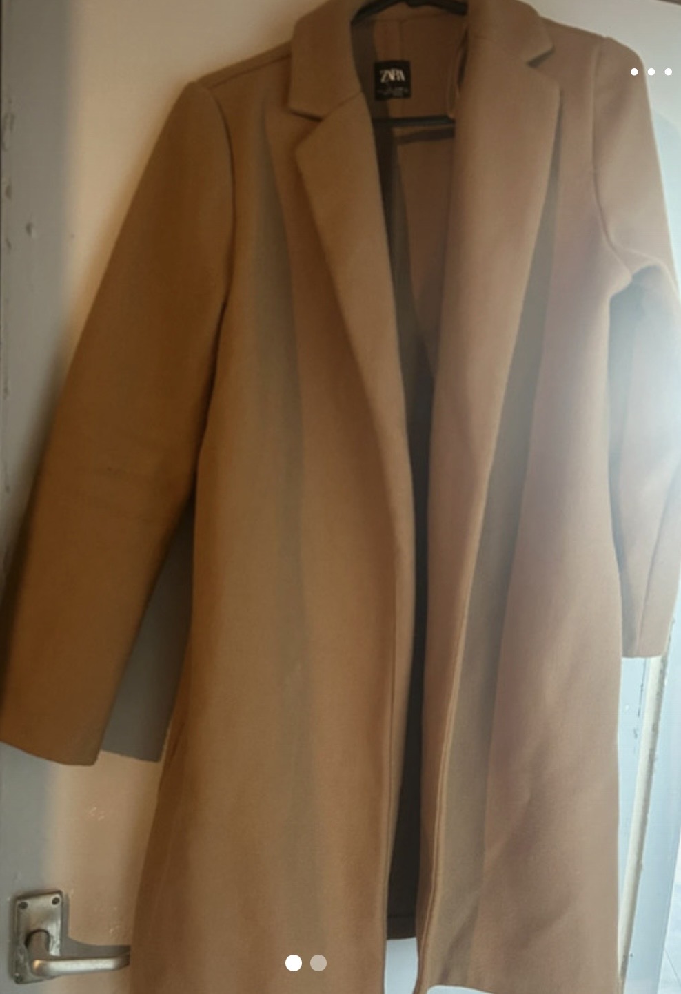 Brown coat