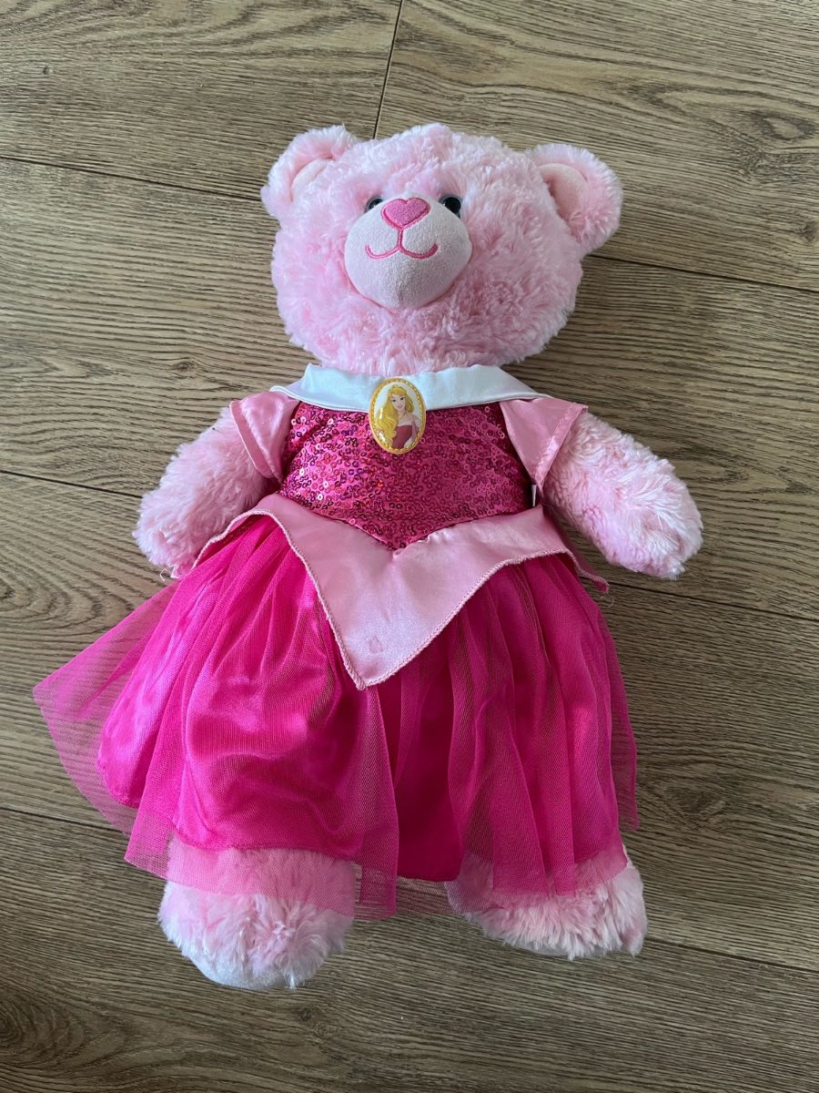Build A Bear Disney Princess Pink Bear & Aurora Sleeping Beauty Dress