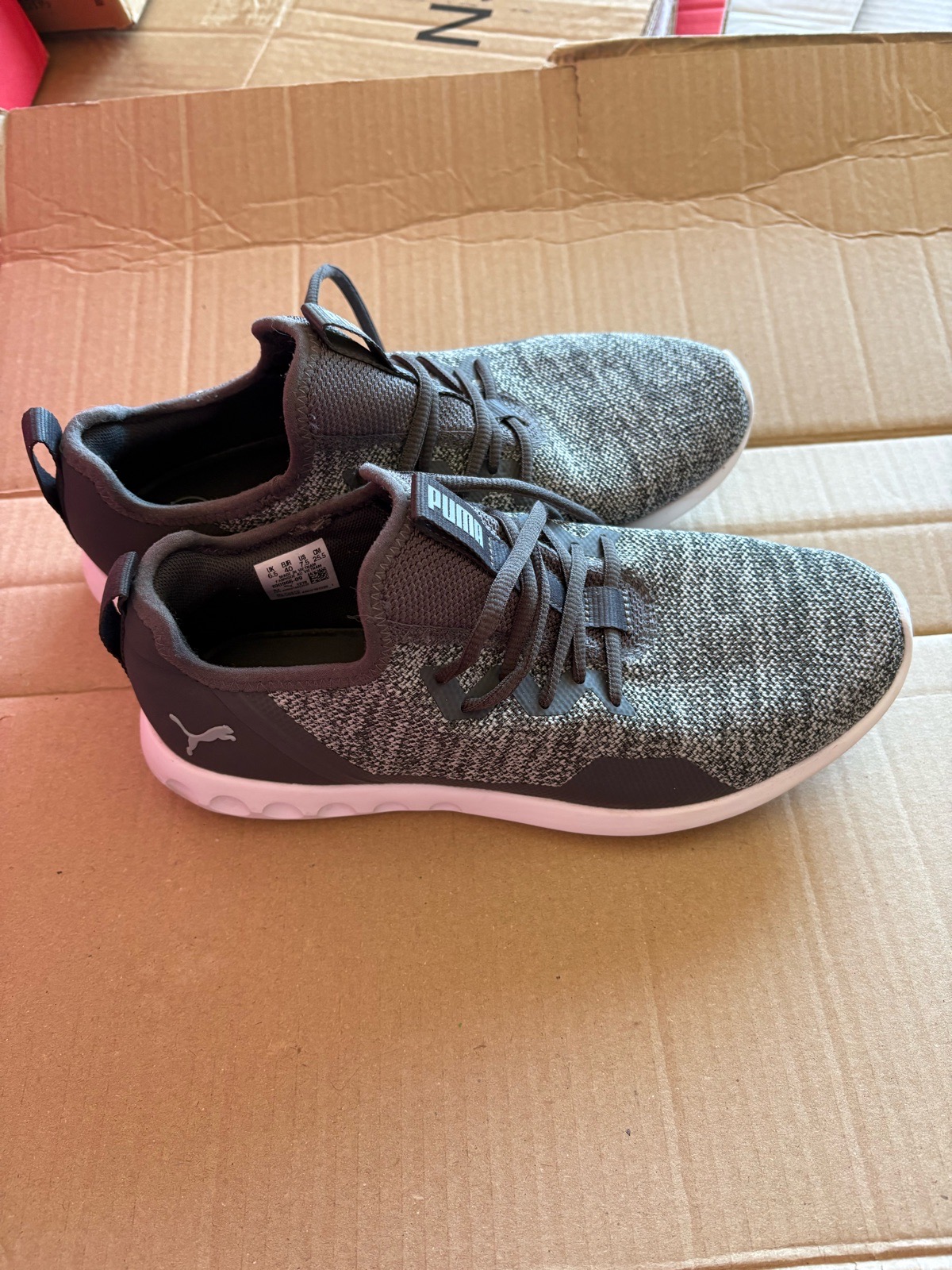 Puma pump