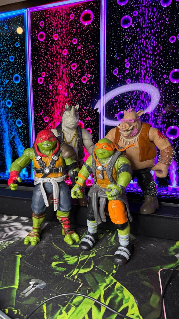 The ninja turtles collection 4 figures