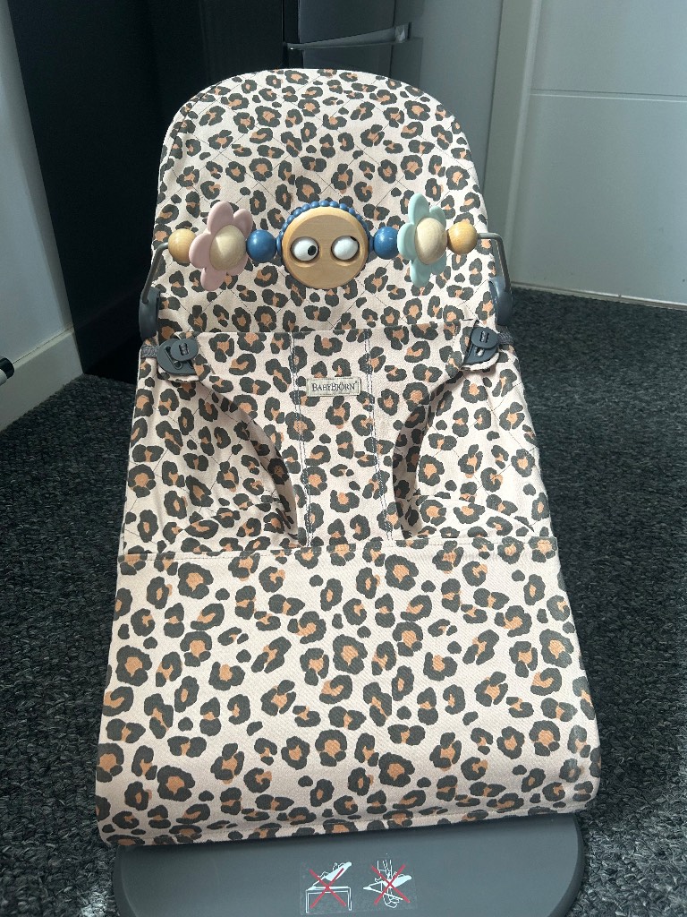 Babybjorn bouncer