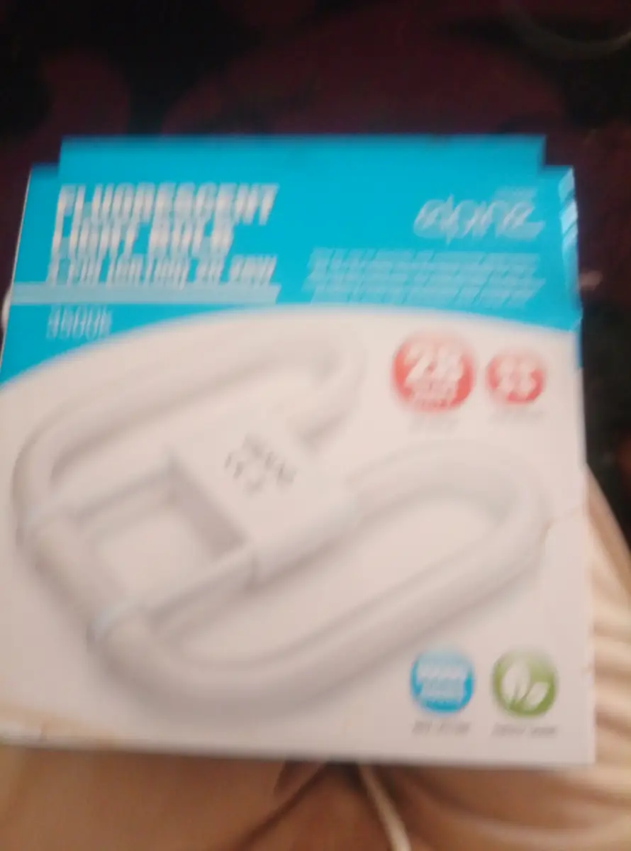 light bulb