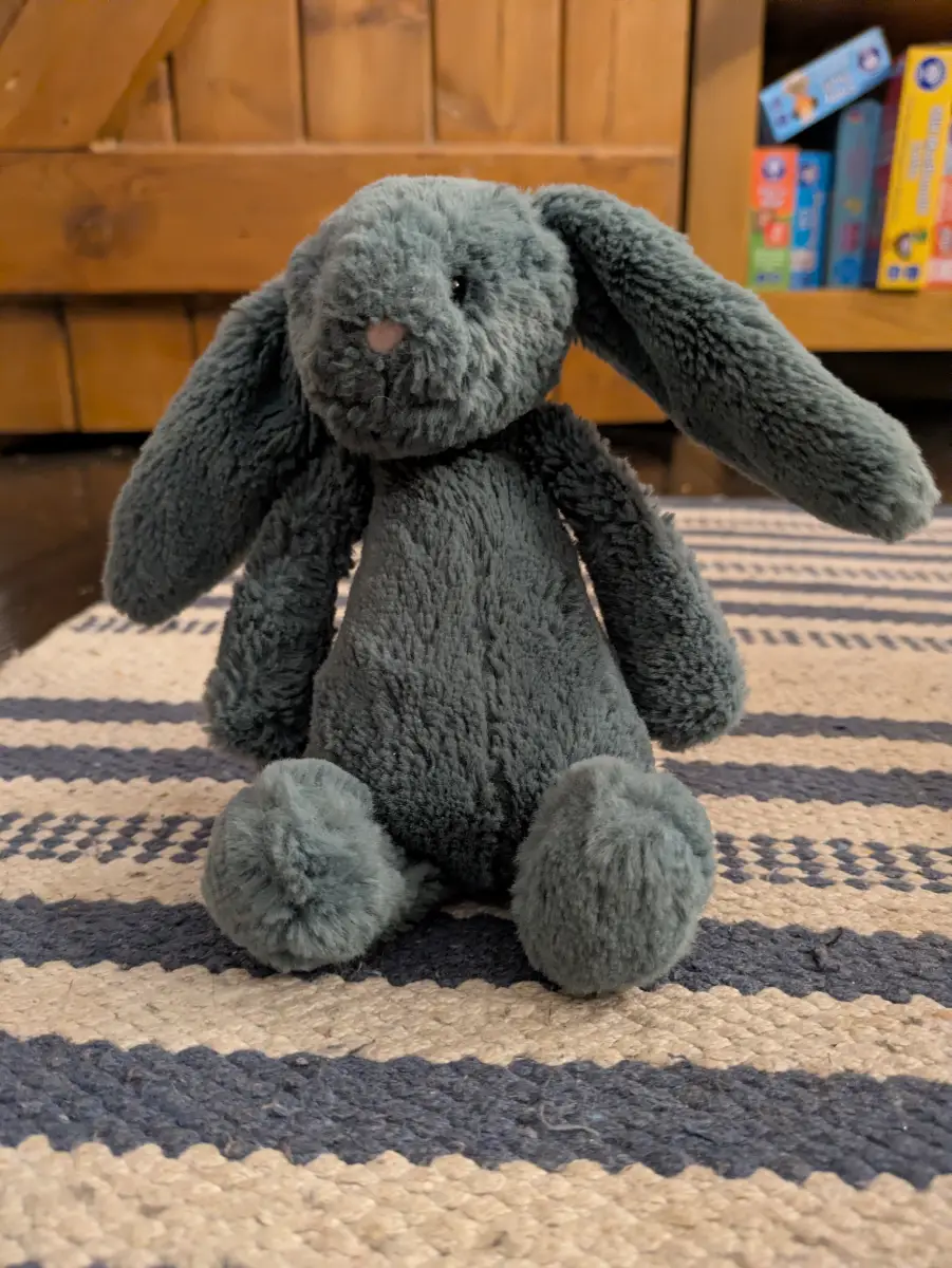 Retired rare Jellycat Small Bashful Forest Bunny