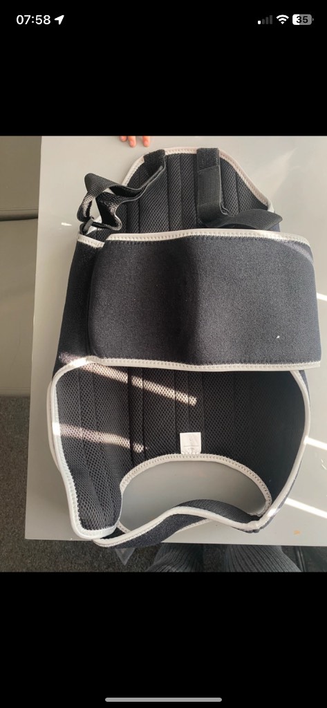 Dog back support brace