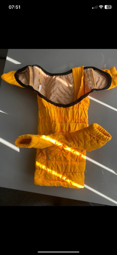 Yellow warm dog coat