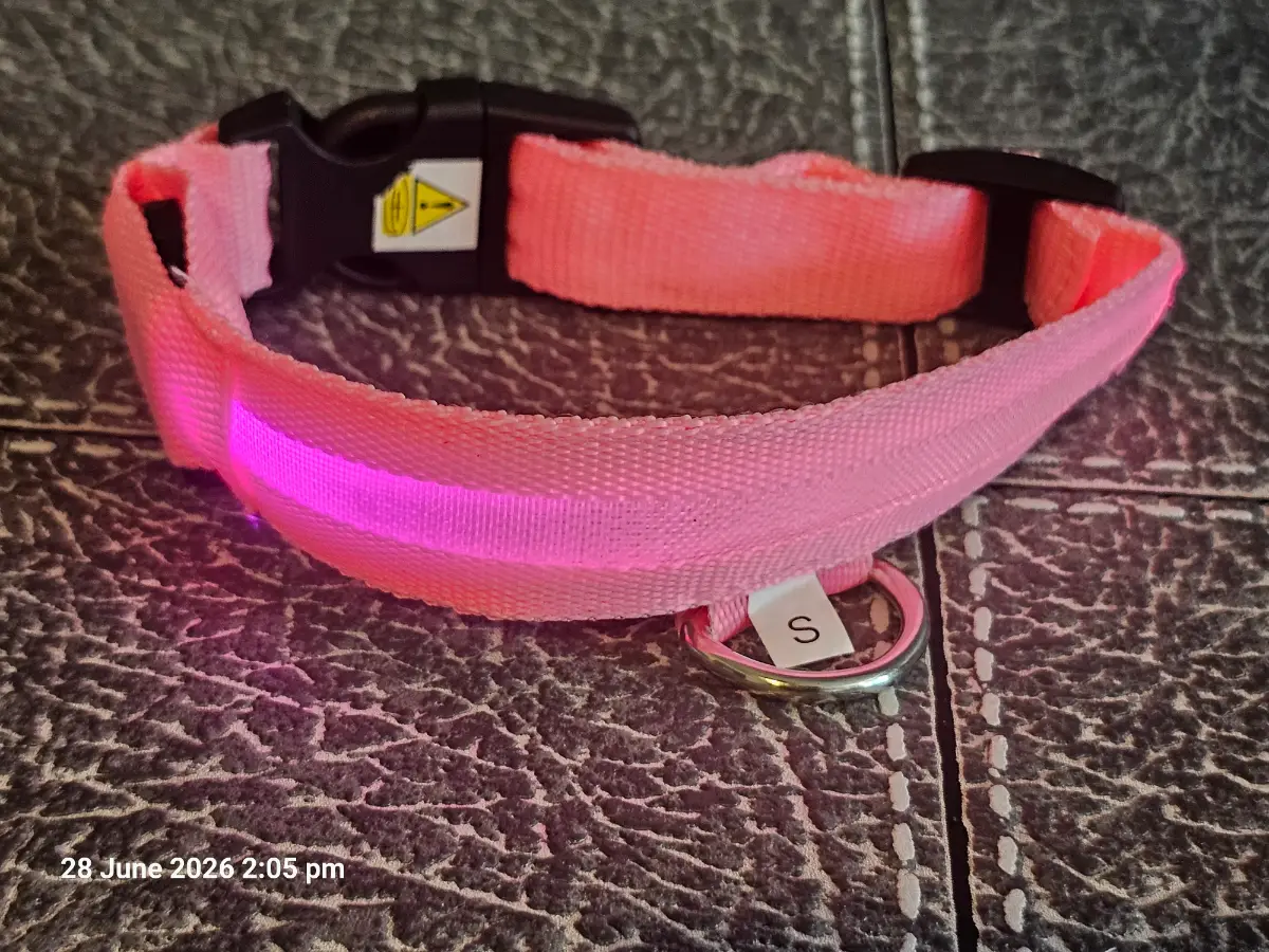 light up pink dog collar small