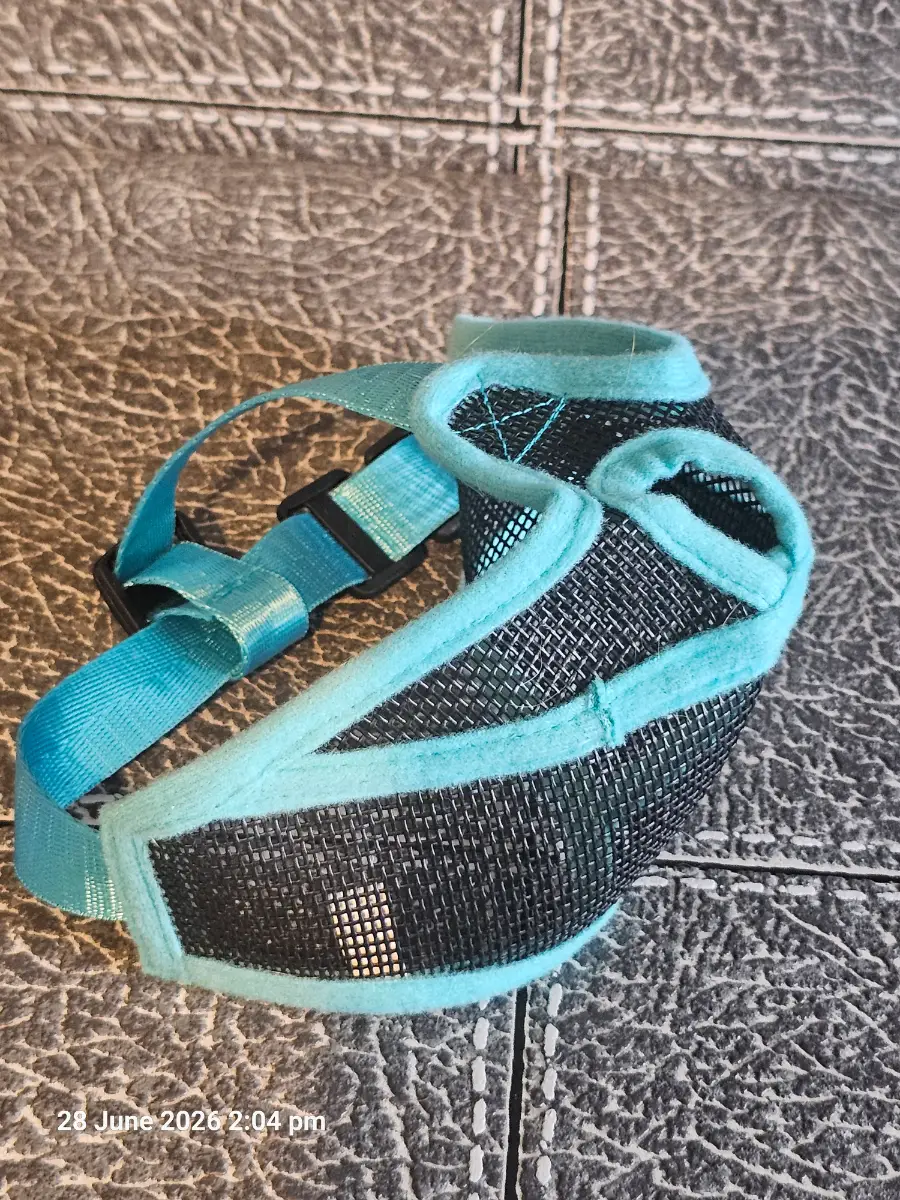 flat face dog muzzle size small