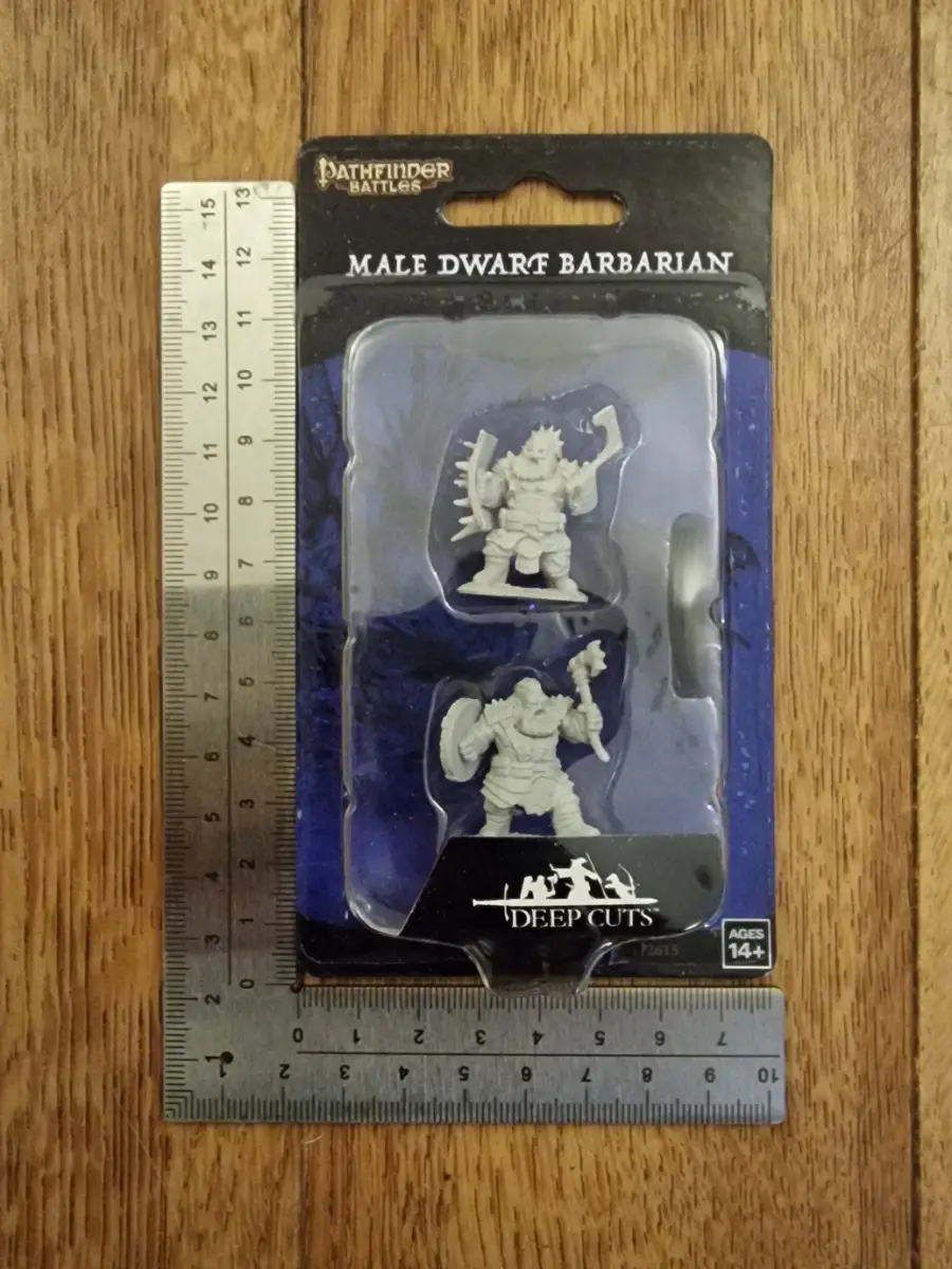Male Dwarf Barbarian Pathfinder Dungeons and Dragons Miniatures D&D DND in Pack MP