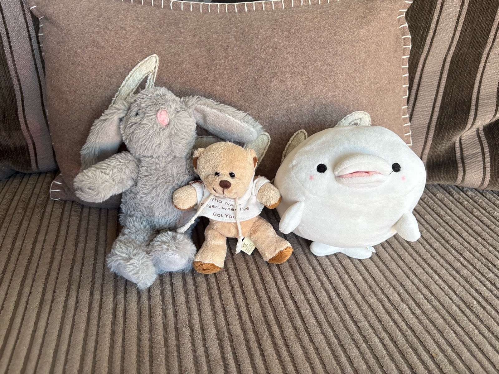 Cute Plushie Bundle Trio | Grey Bunny, Message Teddy Bear & White Fish Blobfish Sea Animal Soft Toys