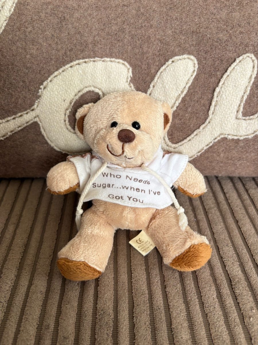 Plush Valentine's Teddy Bear in Hoodie – Who Needs Sugar when I've Got You
