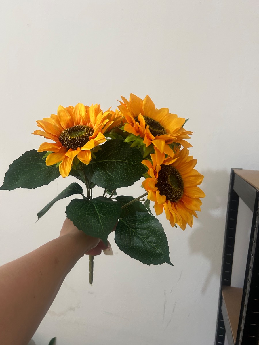 Large sunflowers bunch