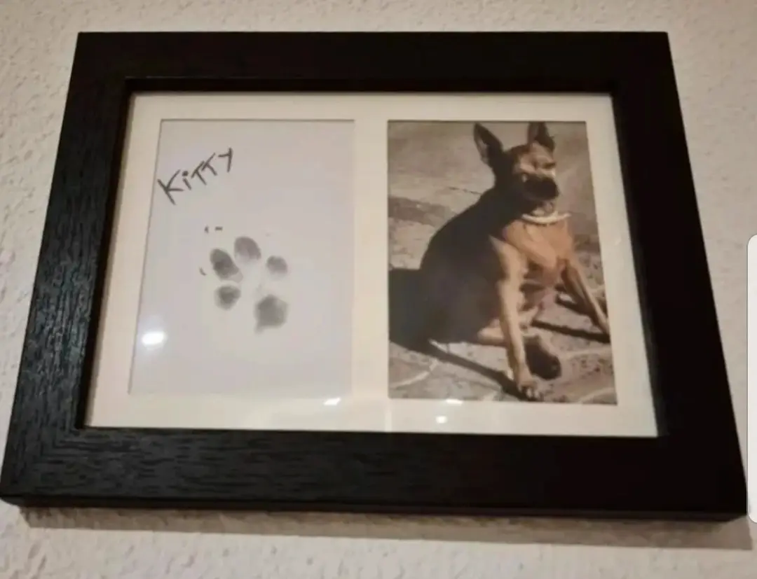 Pet photo frame and ink pad