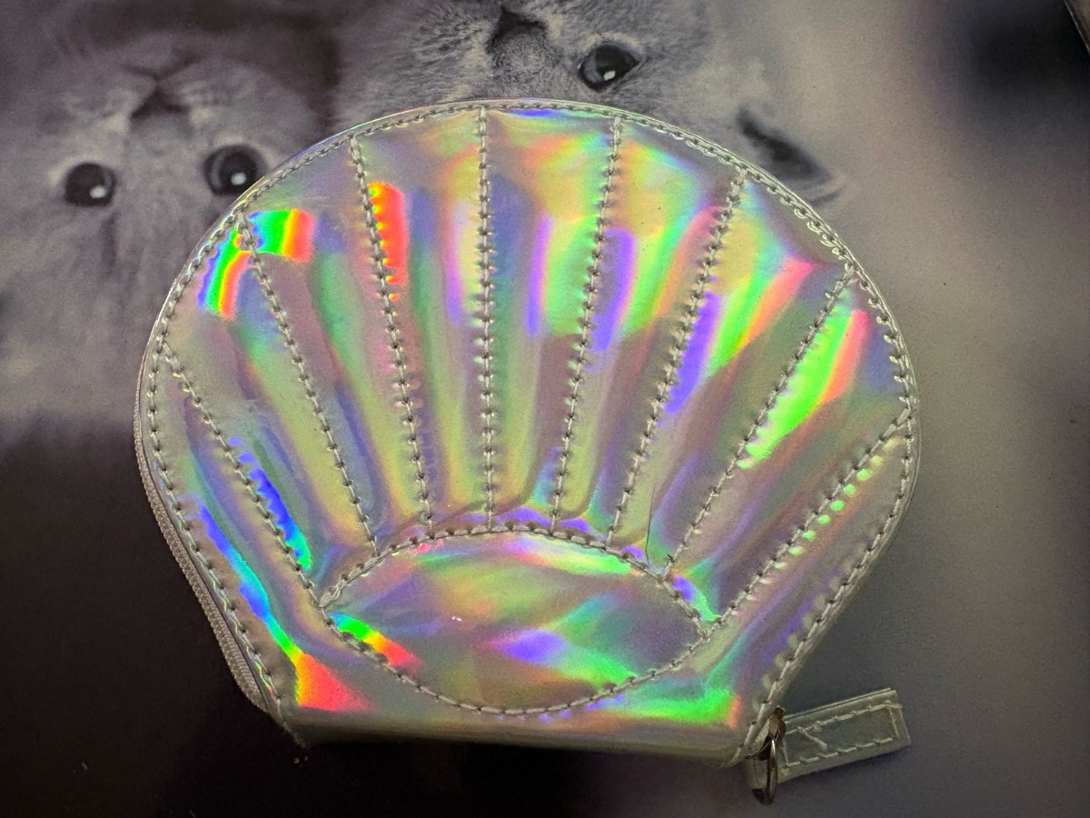 Holographic shell coin purse