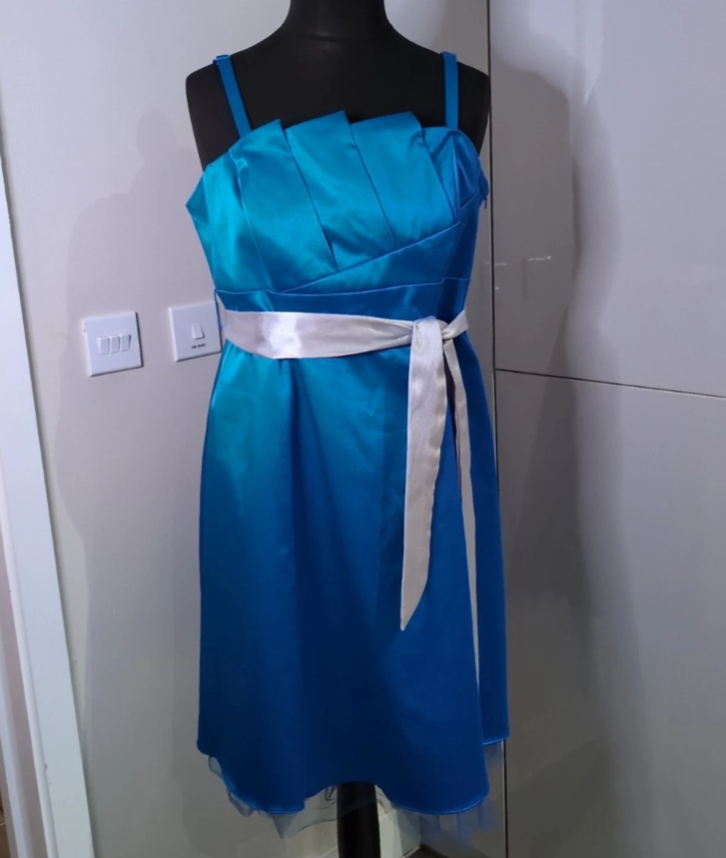Size 18/20? Cobalt Blue Party Dress Net Underskirt Satin Occasion Wear