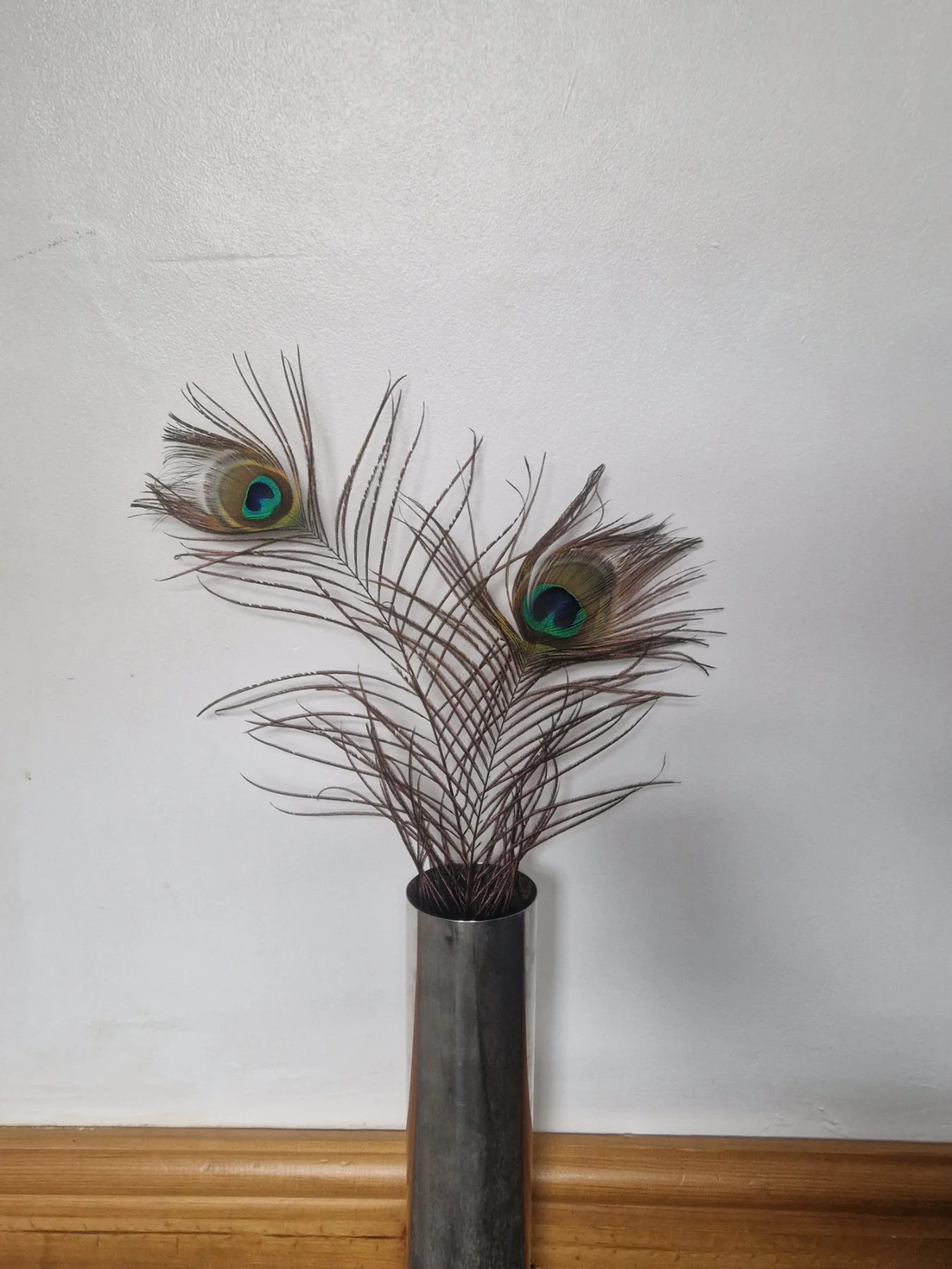 Peacock 2 feather for vase