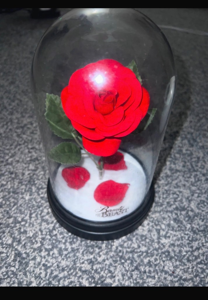 Beauty and the beast rose lamp