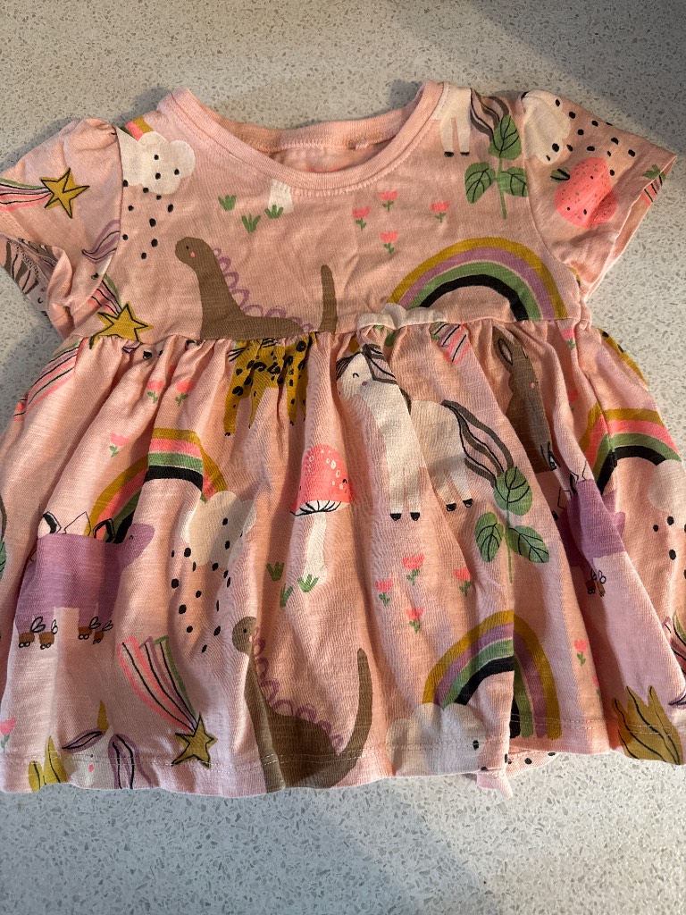 Next - Girls Dress 2-3 years
