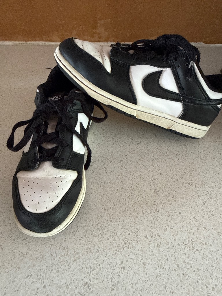 Nike Dunk - Worn Nike 1.5 Playwear