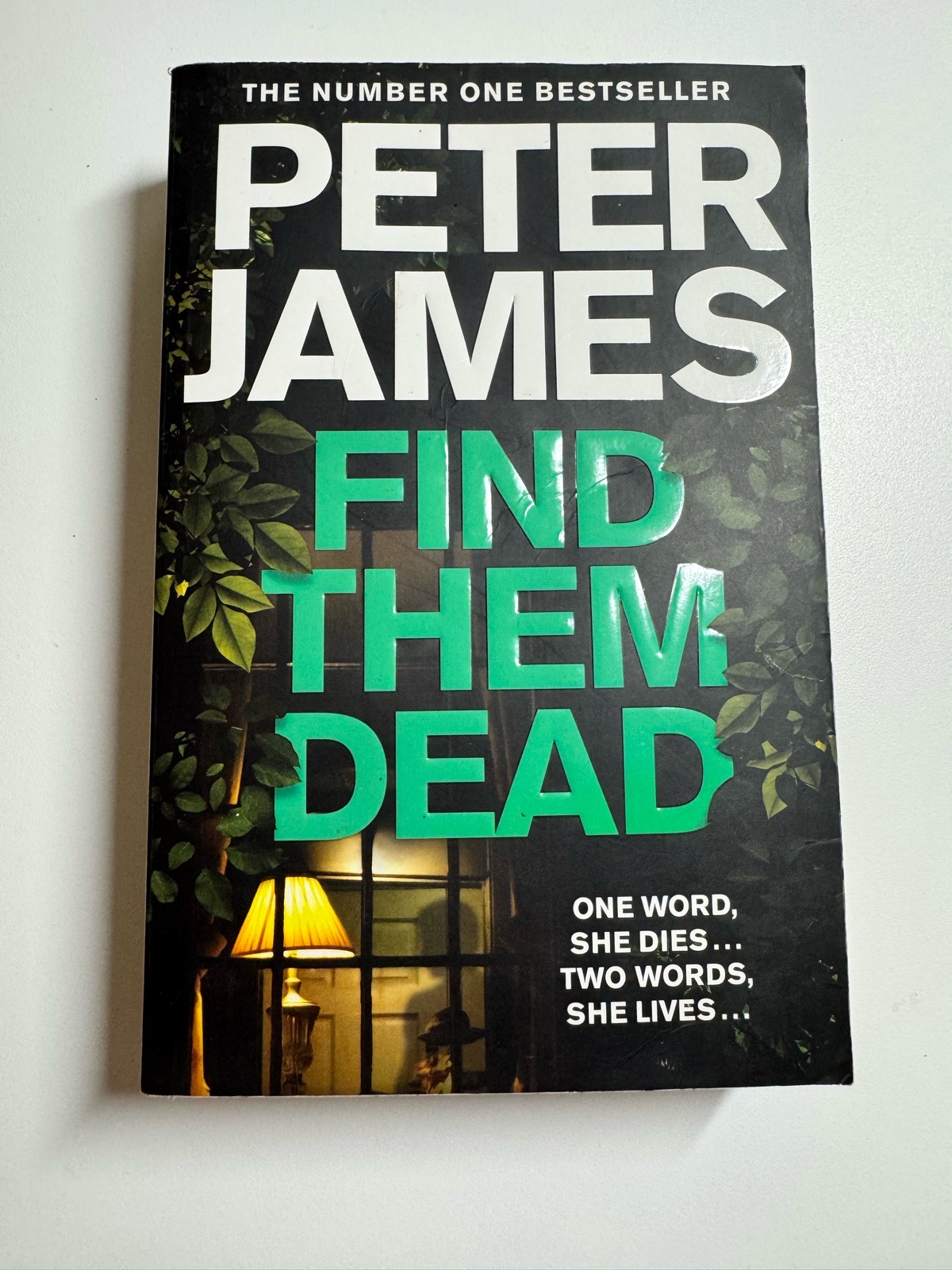 Find them dead by Peter james