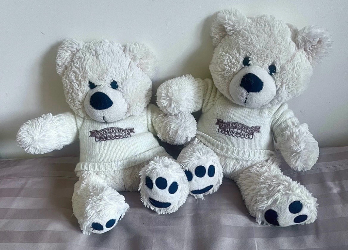 Matching pair of white Severn Valley Railway teddy bears wearing SVR jumpers