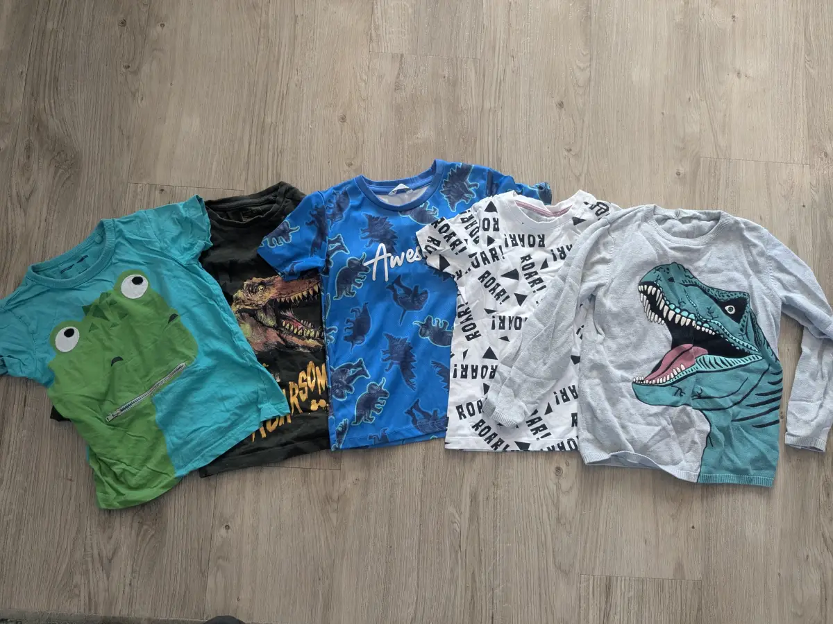 X5 Boys Dinosaur Graphic T-Shirts And Jumper Bundle