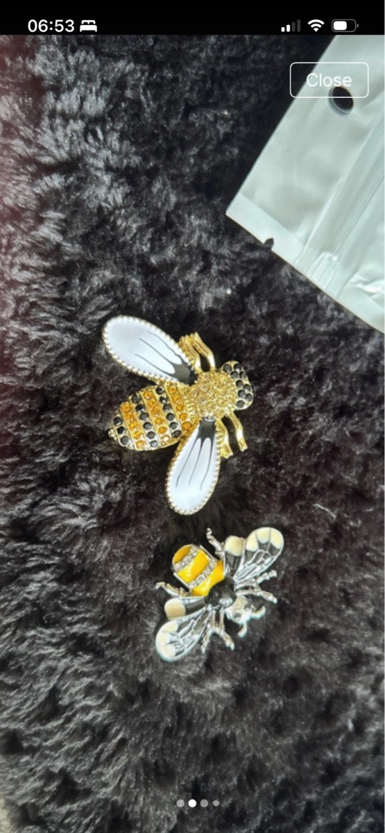 2 x Bee brooches
