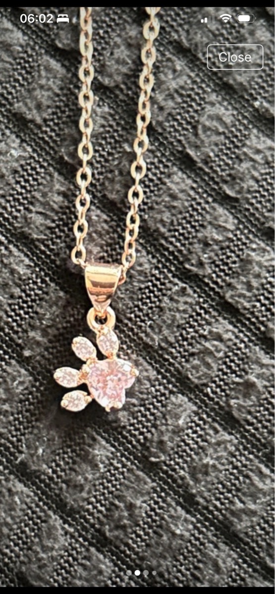 925 silver paw necklace with rose plating