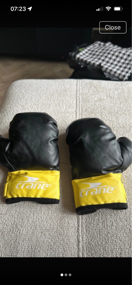 Child’s small Crane boxing gloves