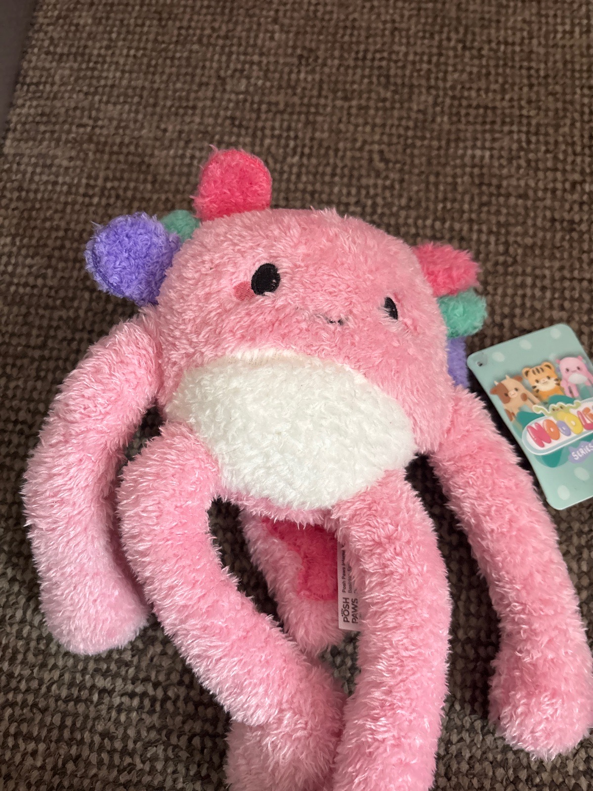Noodlez axolotl