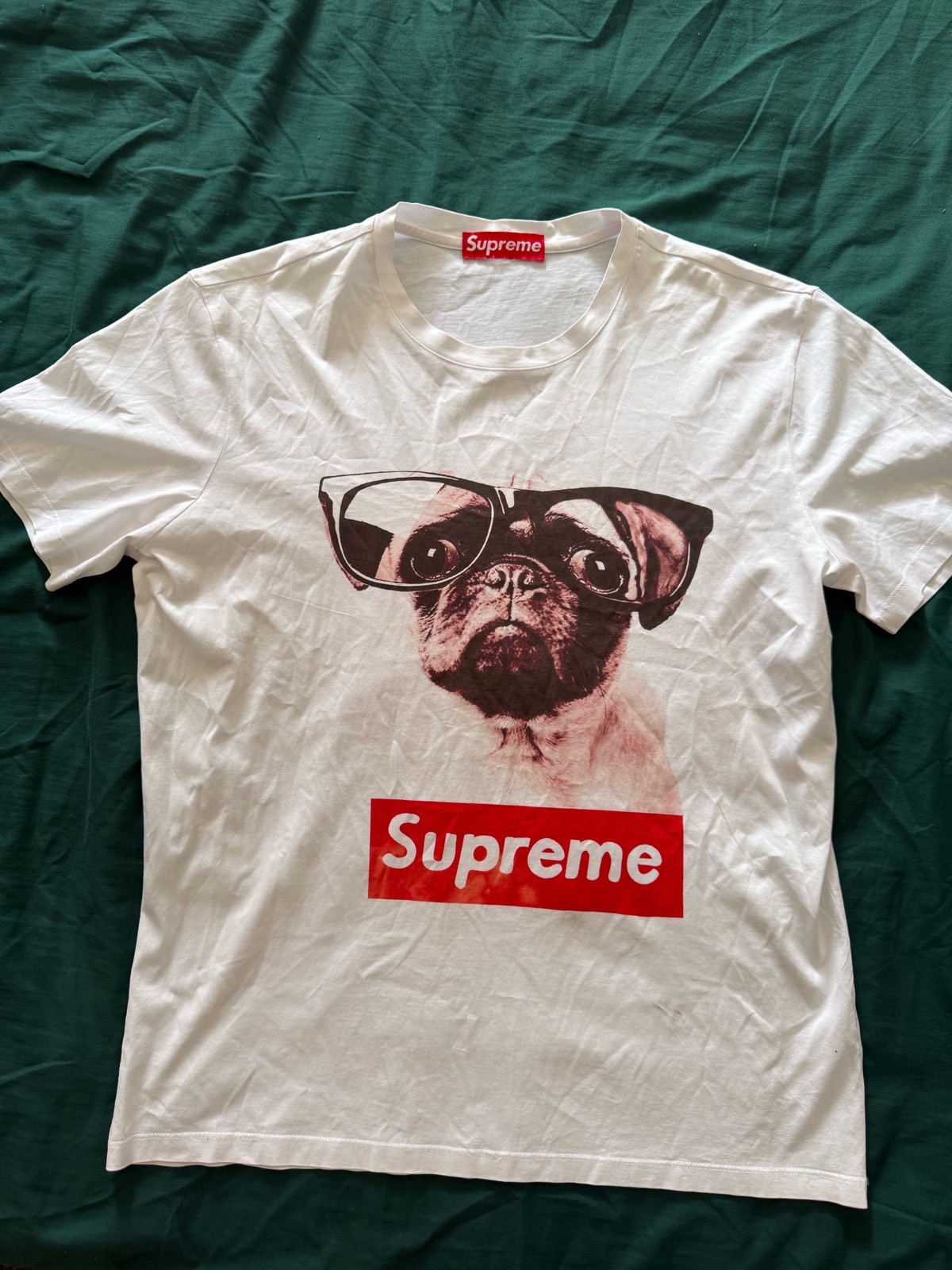 Pug t shirt for men