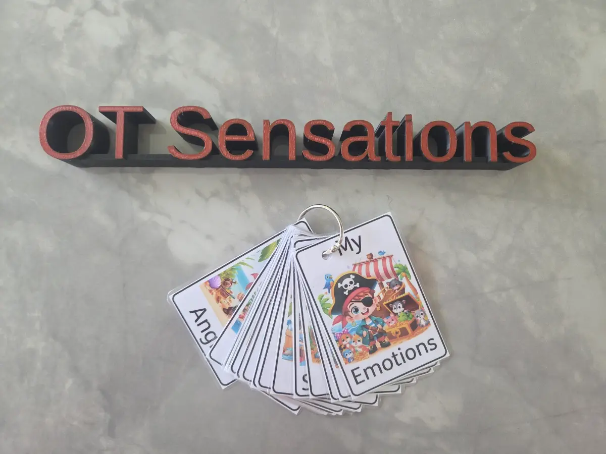 Pirates themed emotions flash cards