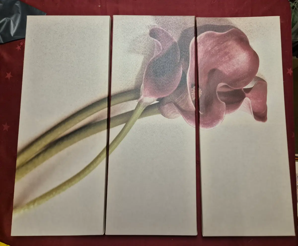 Set of 3 Canvas Wall Mountable Pictures of a Calia Lily