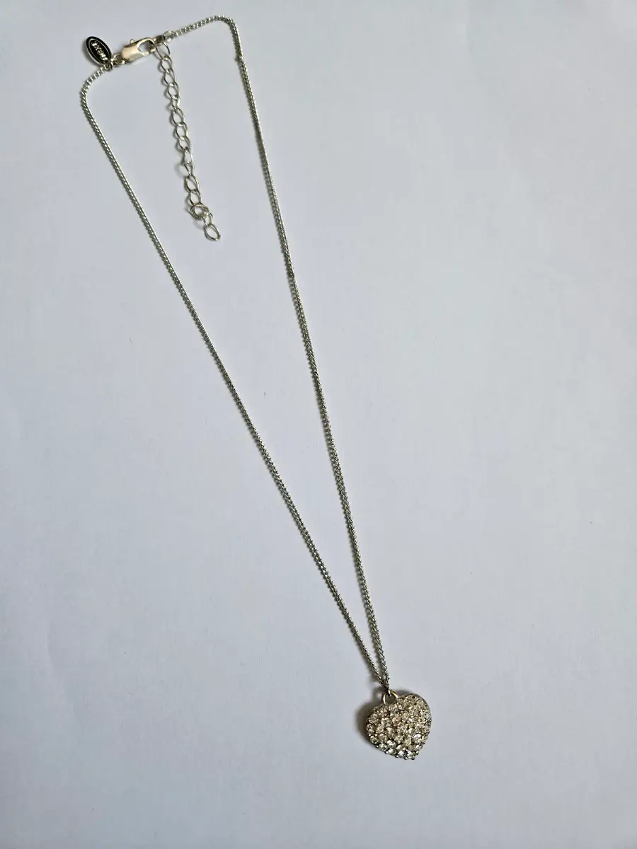 Heart Shaped Necklace From Next