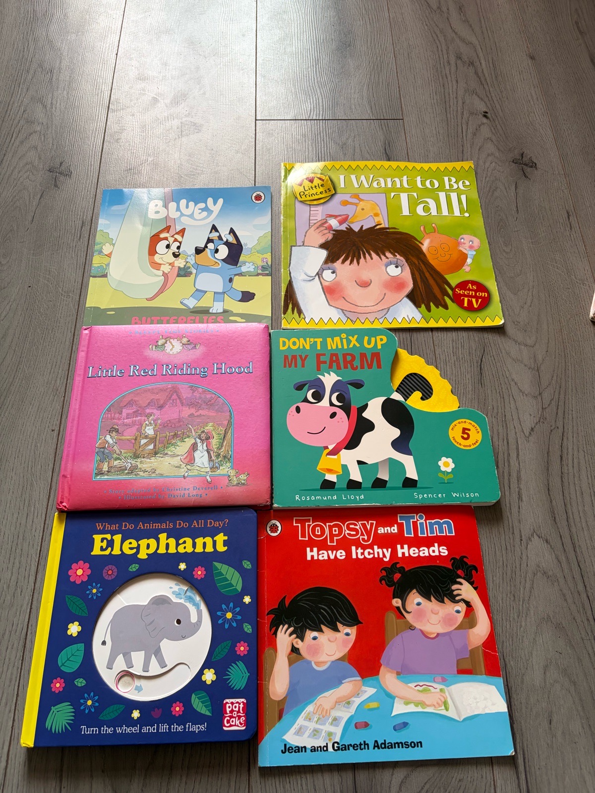 Children’s Book Bundle – Bluey, Topsy & Tim, Fairy Tale & Lift-the-Flap (6 Books)