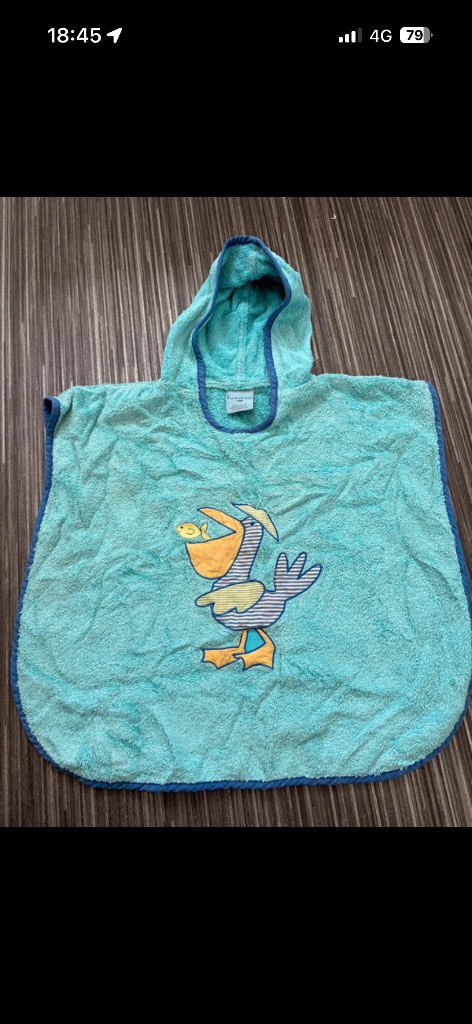 Fascinate kids bird and fish hooded swim towel