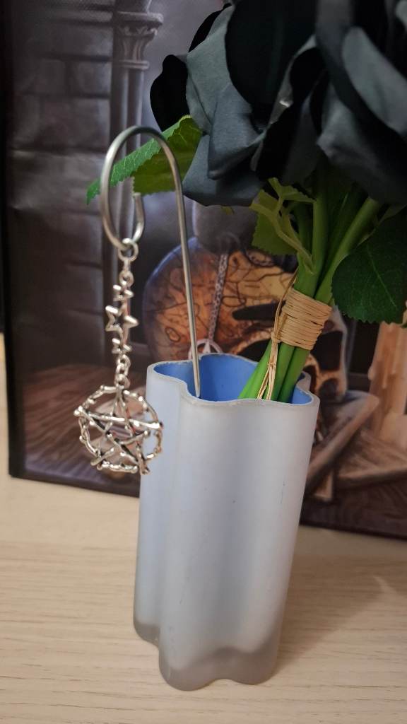 Pentacle Pentagram hanging plant or vase decorative stake.