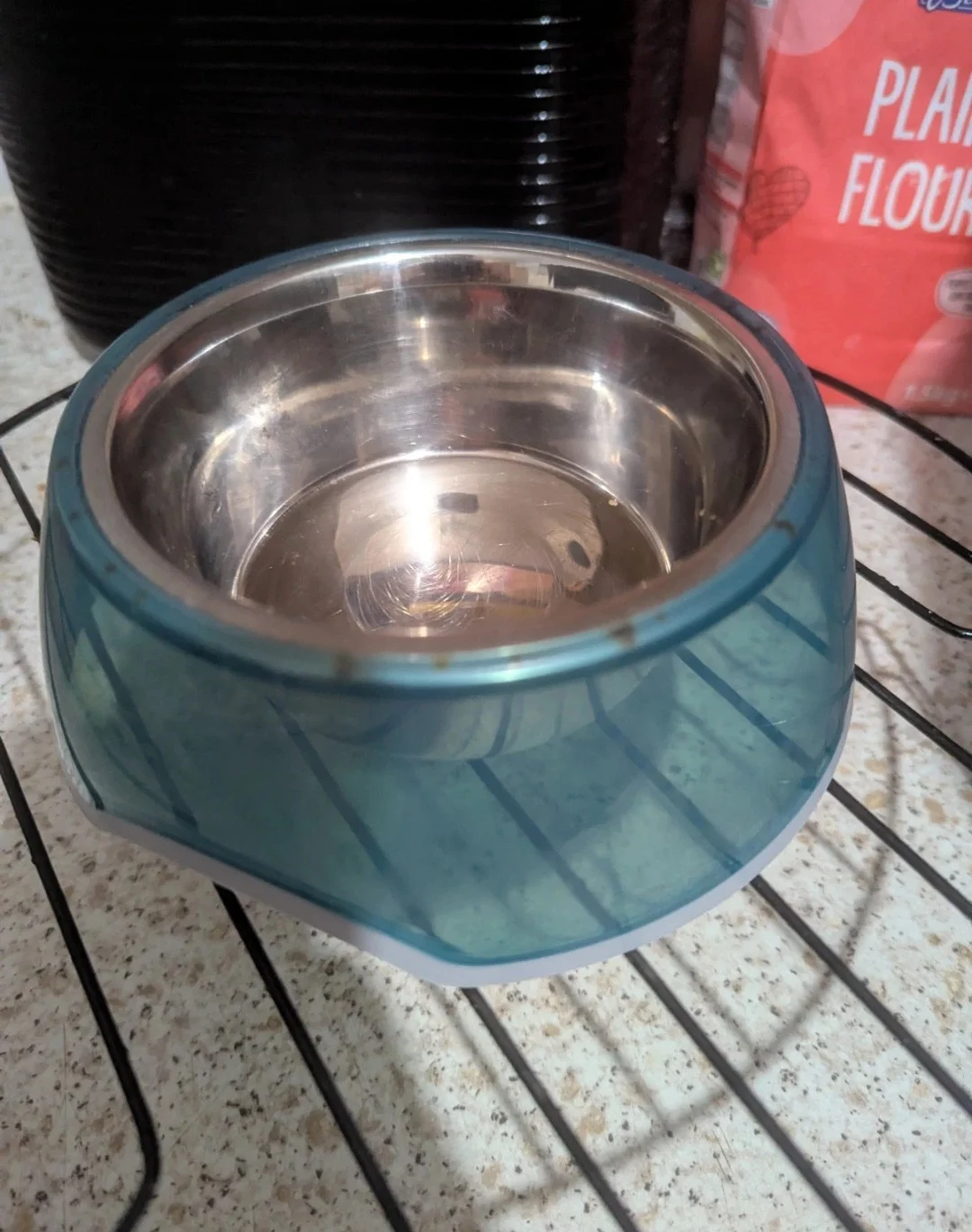 Stainless Steel Pet Bowl with Non-Slip Teal Acrylic Base