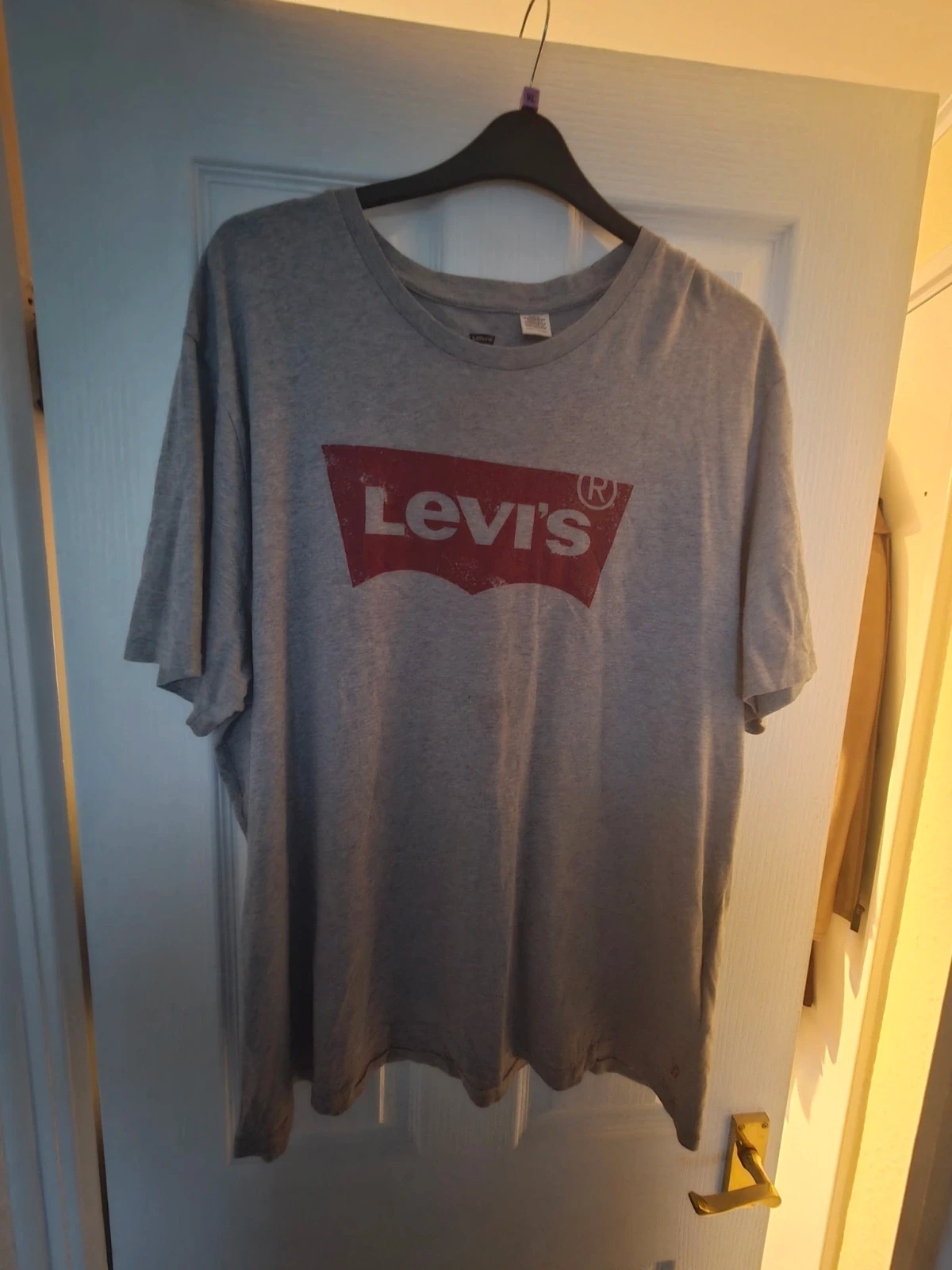 Levi's Grey and Red Shirt