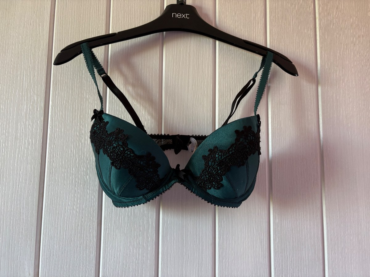 Kelly Brook teal and black Bra 32d Underwired