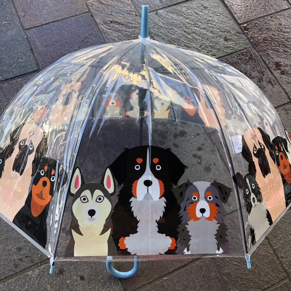 Dog design adult umbrella