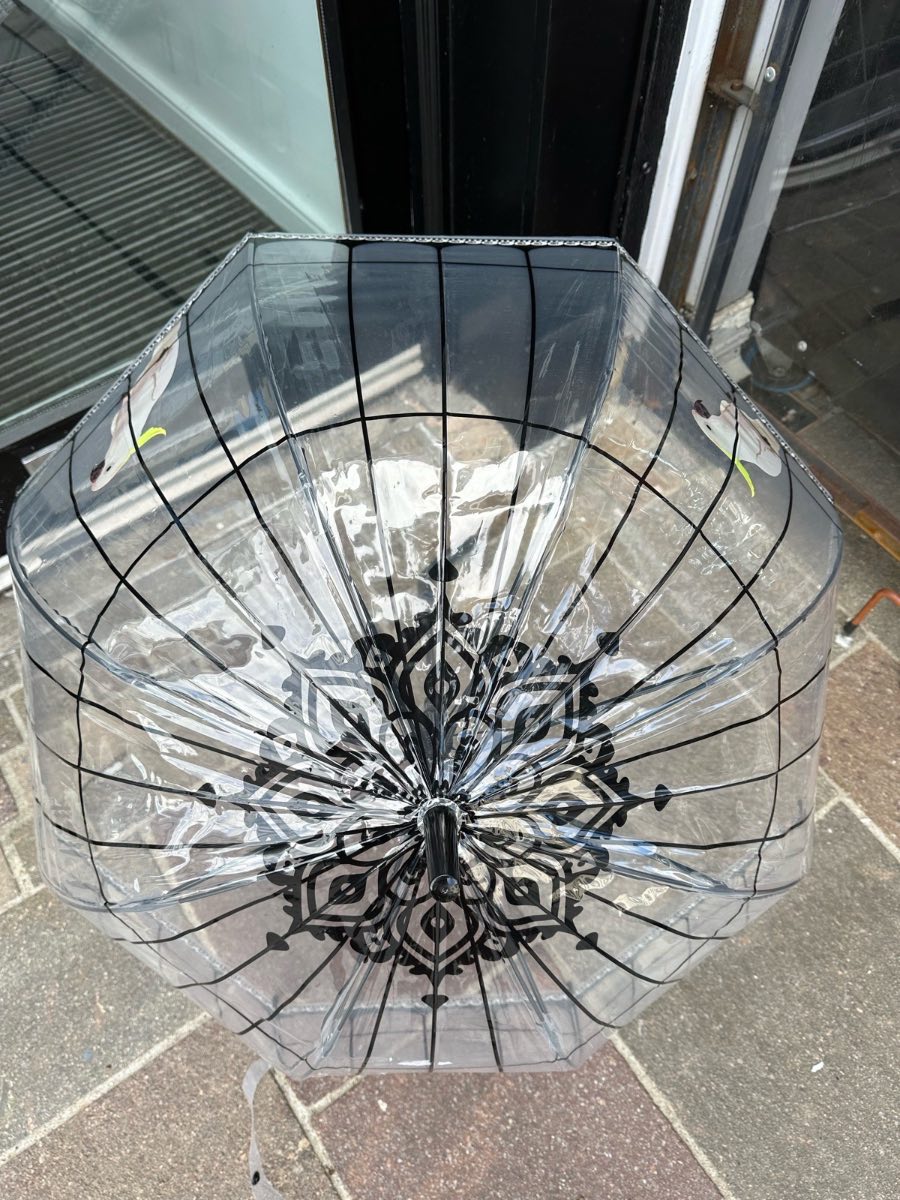 Transparent birdcage adult umbrella