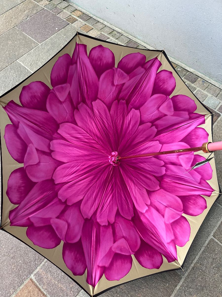 Frank Usher Dahlia pattern double faced umbrella